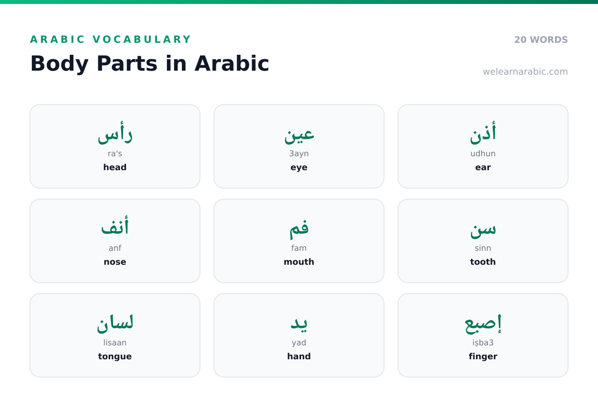 Word wall of Arabic body-part words, including رأس (head), عين (eye), يد (hand), and قلب (heart).