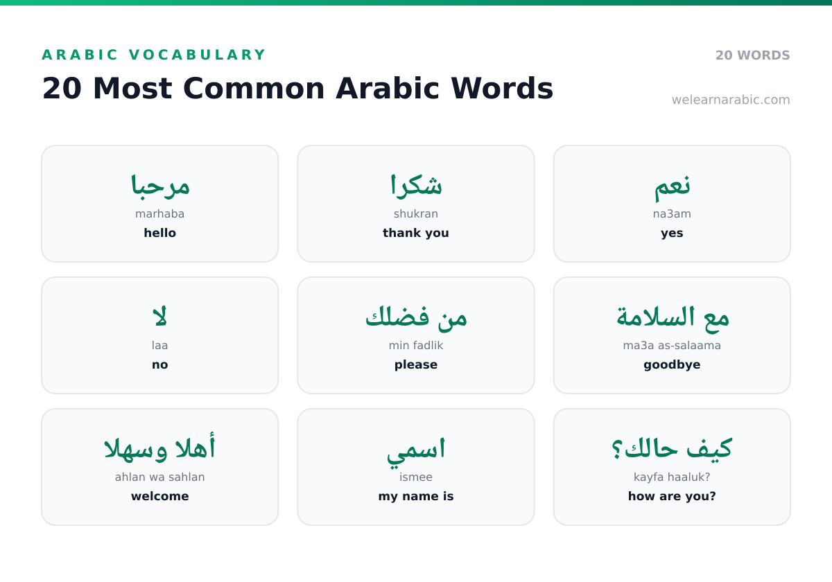 Word wall of the 20 most common Arabic words, including مرحبا (hello), شكرا (thank you), and ماء (water).