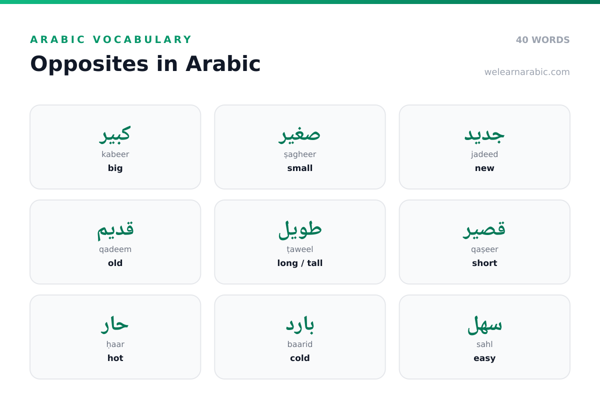 Word wall of Arabic opposite pairs, including كبير/صغير (big/small) and حار/بارد (hot/cold).